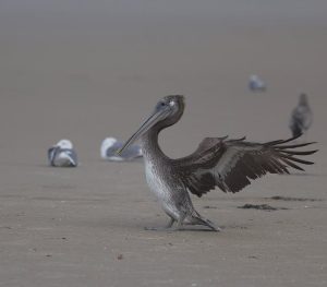 迷你倉：現代生活中的空間藝術