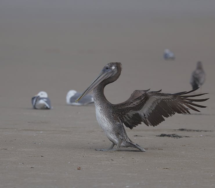 迷你倉：現代生活中的空間藝術