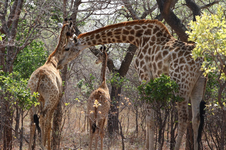 媽媽手治療的重要性及有效方法探討