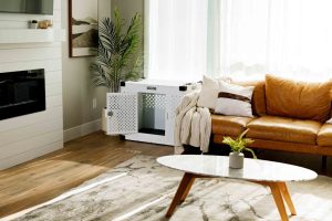 深入分析除甲醛服務的必要性與專業標準